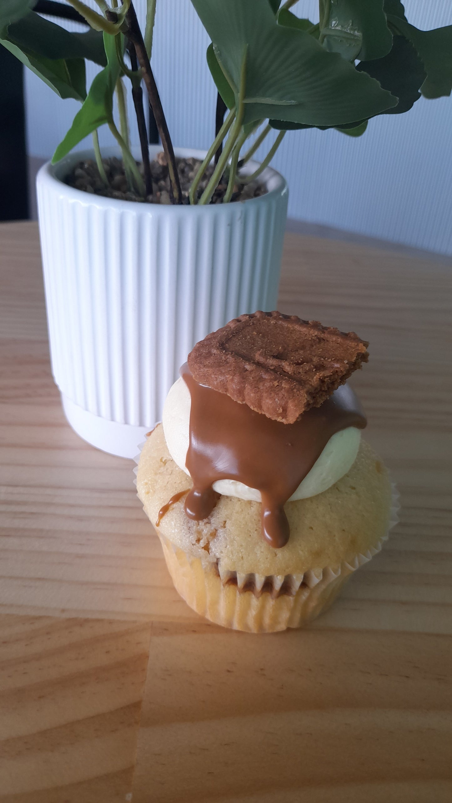 CUPCAKES, ADELAIDE , BISCOFF