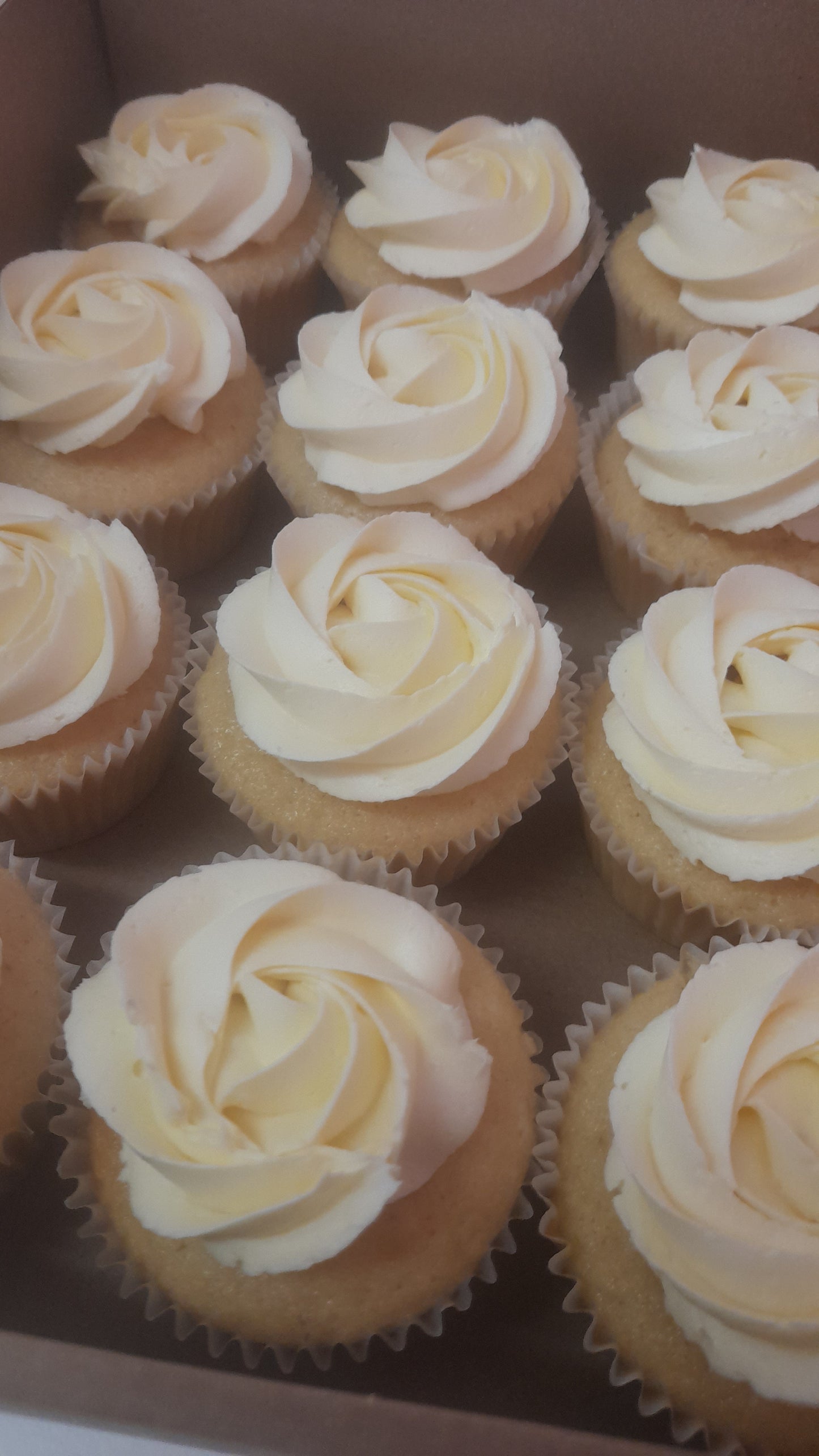 Gender Reveal Cupcakes