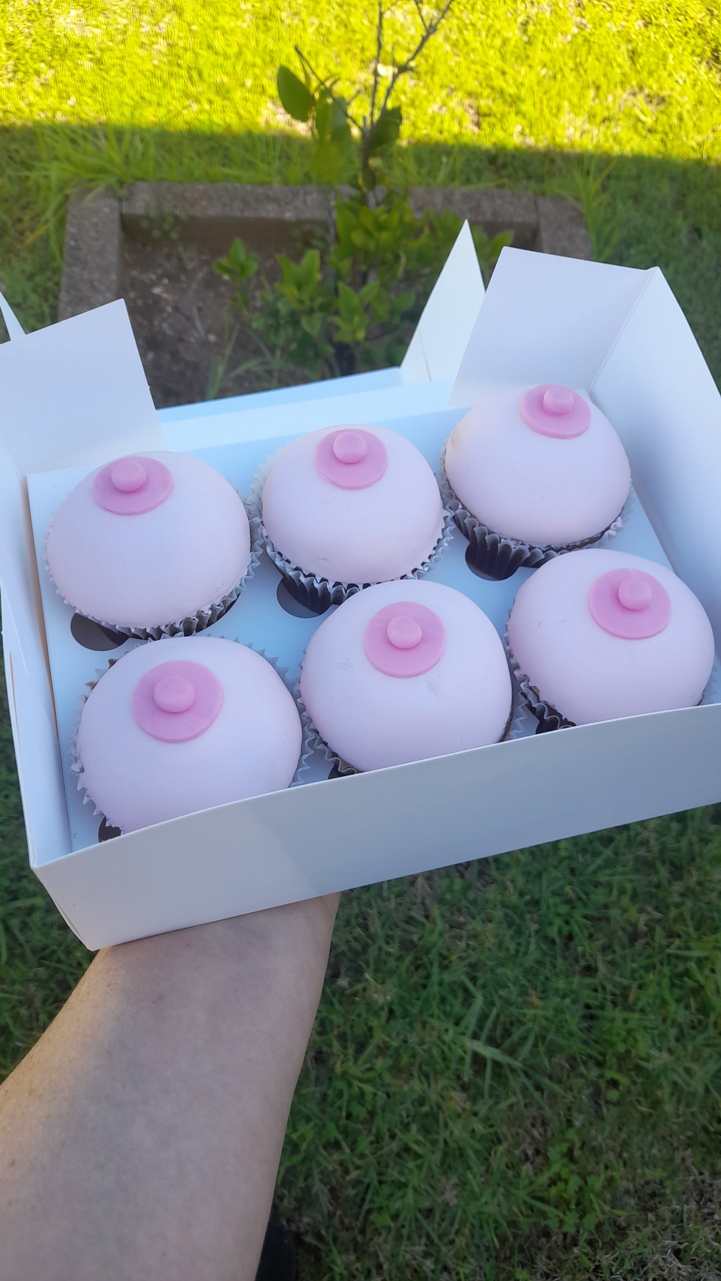 Breast Cupcakes