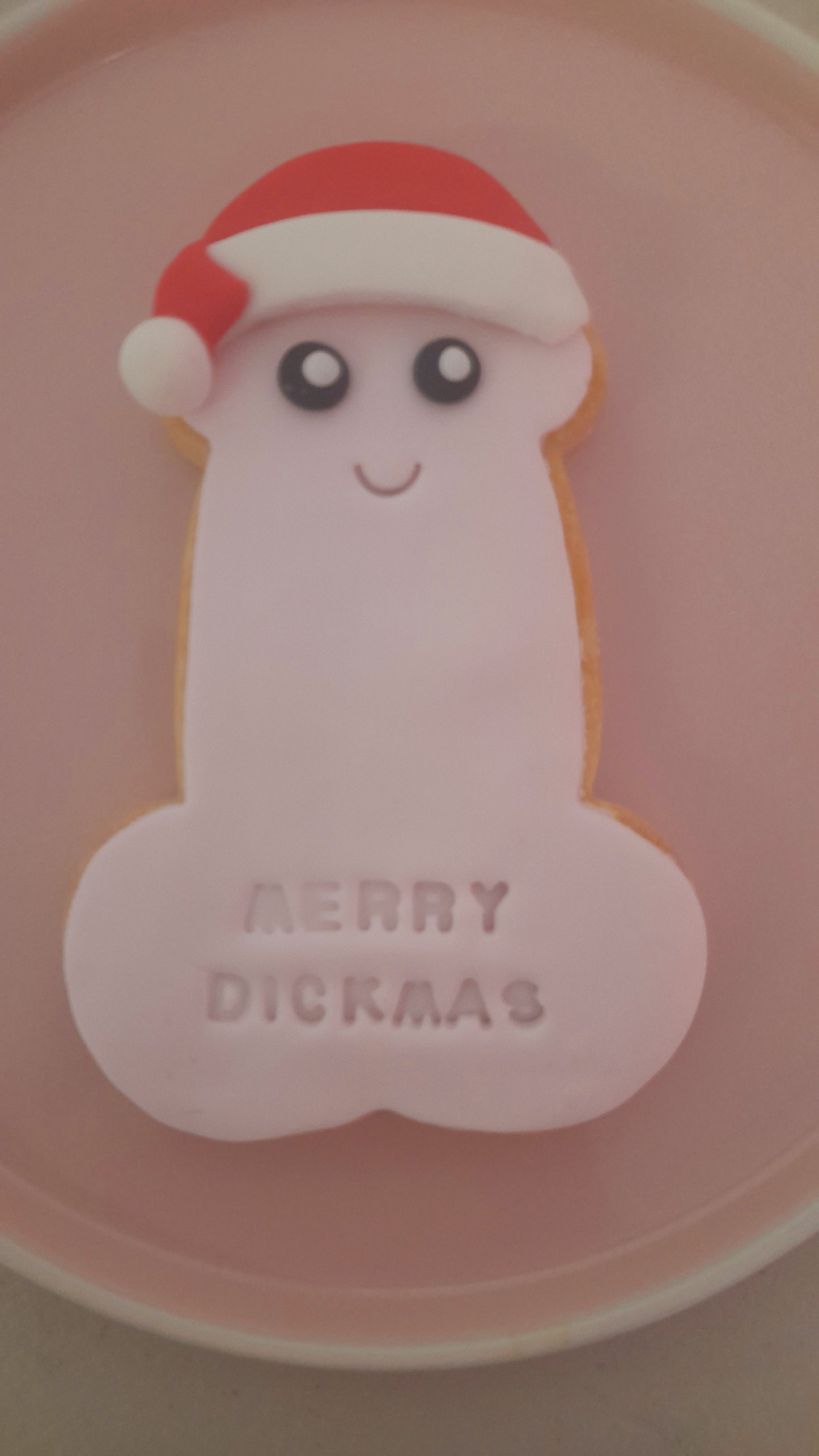 dick naughty funny christmas adullts only 