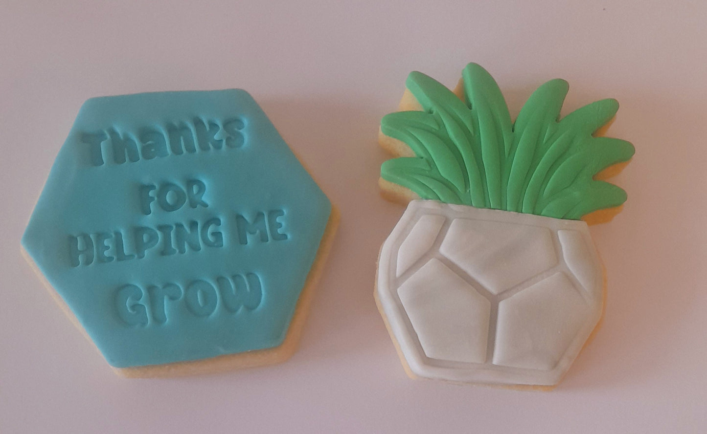 Thanks for Helping me Grow Cookie Pack